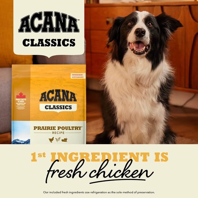 Buy Acana (Grain-free options) Dog Food Products Online discount, deals, Coupons, Cashback, Promo Code, Freebies and special Promotional offers in India