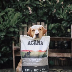 Buy Acana (Grain-free options) Dog Food Products Online discount, deals, Coupons, Cashback, Promo Code, Freebies and special Promotional offers in India