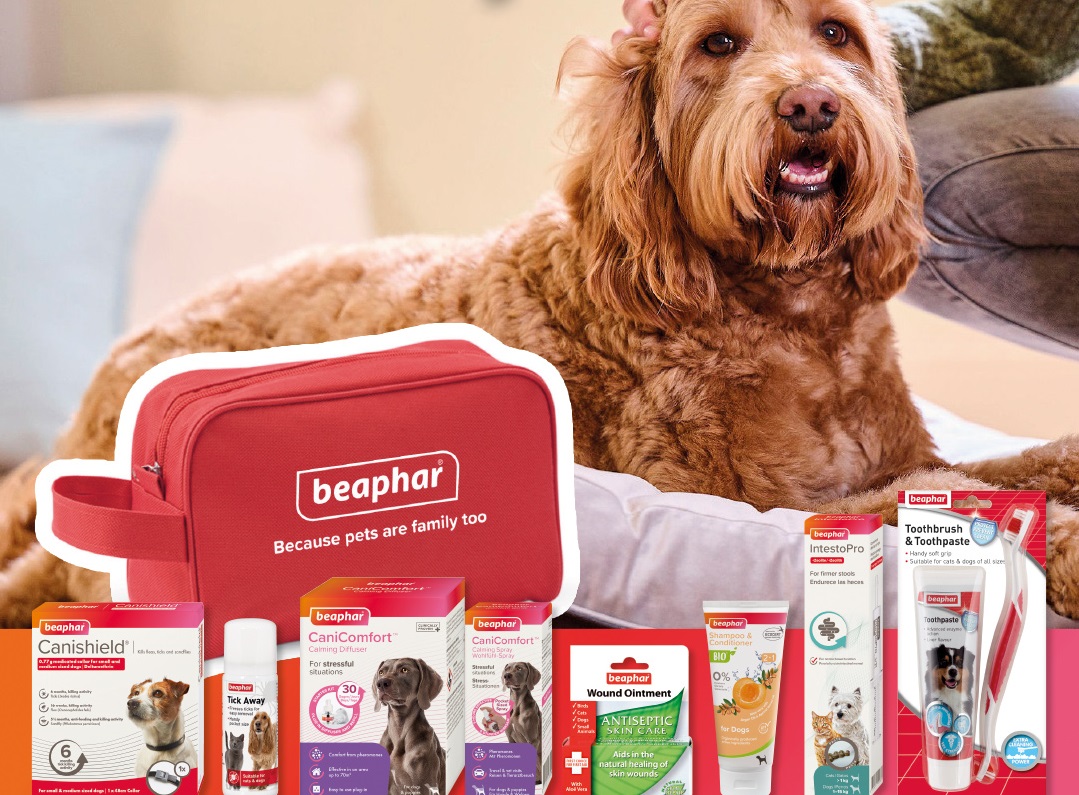 Buy Beaphar (Vitamins, supplements) Pet Healthcare Brands Products Online discount, deals, Coupons, Cashback, Promo Code, Freebies and special Promotional offers in India [Updated-2025]