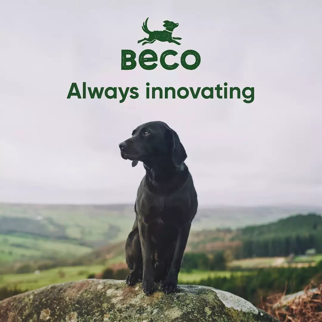 Buy Beco Pets (Eco-friendly brushes) Pet Grooming Brands Products Online discount, deals, Coupons, Cashback, Promo Code, Freebies and special Promotional offers in India [Updated-2025]