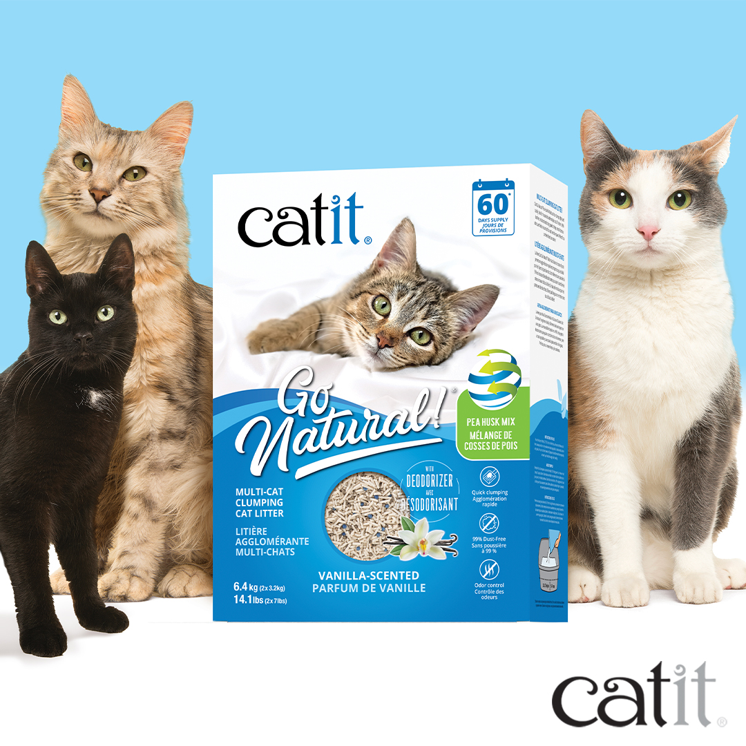 Buy Catit (Designer cat bowls) Cat Food & Supplies Brands Products Online discount, deals, Coupons, Cashback, Promo Code, Freebies and special Promotional offers in India [Updated-2025]