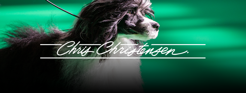 Chris Christensen (Show-quality tools) Pet Grooming Brands